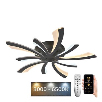 LED Dimmbarer Deckenleuchter LED/55W/230V 3000-6500K + Fernbedienung