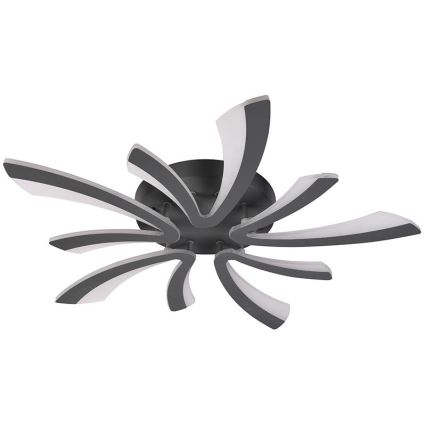 LED Dimmbarer Deckenleuchter LED/55W/230V 3000-6500K + Fernbedienung