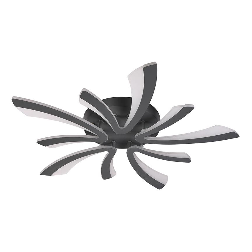 LED Dimmbarer Deckenleuchter LED/55W/230V 3000-6500K + Fernbedienung