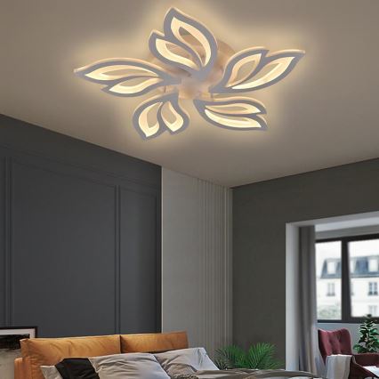 LED dimmbare Deckenleuchte LED/65W/230V 3000-6500K + Fernbedienung