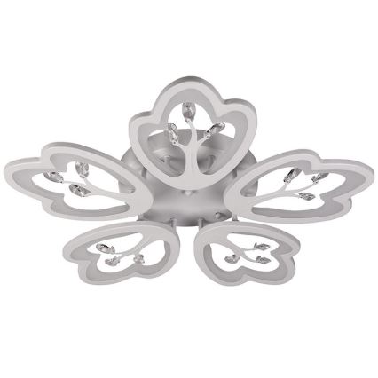 LED Dimmbarer Deckenleuchter LED/80W/230V 3000-6500K + Fernbedienung