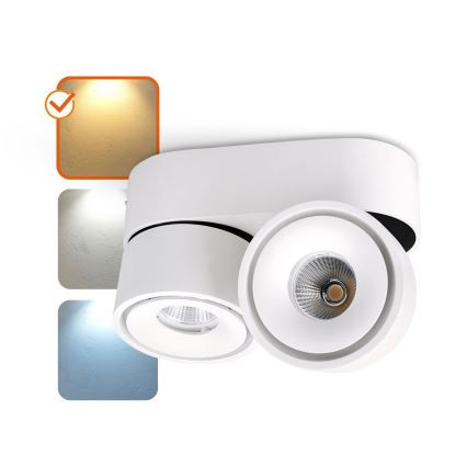 LED Dimmbarer LED-Strahler LAHTI MINI 2xLED/9W/230V 3000K CRI 90 weiß