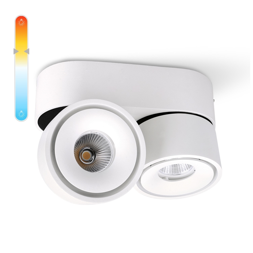 LED Dimmbarer LED-Strahler LAHTI MINI 2xLED/9W/230V 3000K CRI 90 weiß