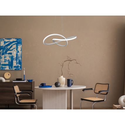 LED-dimmbare Pendelleuchte an Kabel LED/65W/230V 3000-6500K Ø 49 cm + Fernbedienung