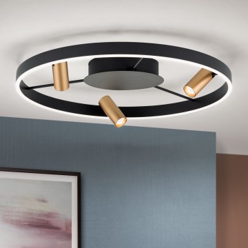 LED Dimmbares Deckenleuchte BERLIN LED/50W/230V schwarz/gold