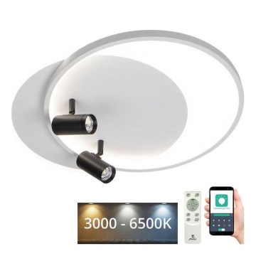 LED Dimmbares Deckenleuchte LED/65W/230V 3000-6500K Weiß + Fernbedienung