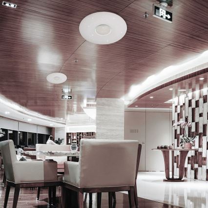 LED dimmbares Deckenleuchte LED/40W/230V 3000K/4000K/6500K Ø 49 cm + Fernbedienung