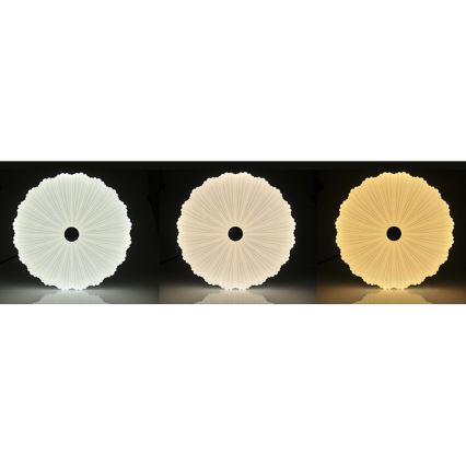 LED Dimmbares Deckenleuchte FLOWER LED/36W/230V + Fernbedienung