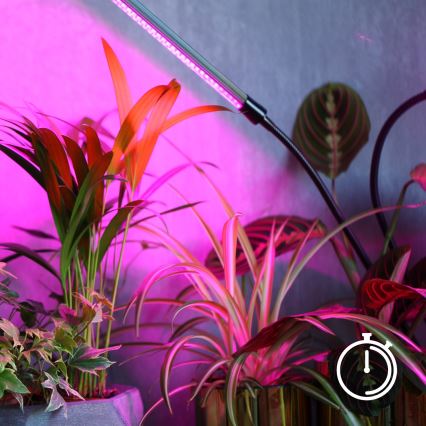 LED dimmbare flexible Tischlampe mit Clip zur Pflanzenzucht VITARO 4xLED/10W/230V schwarz