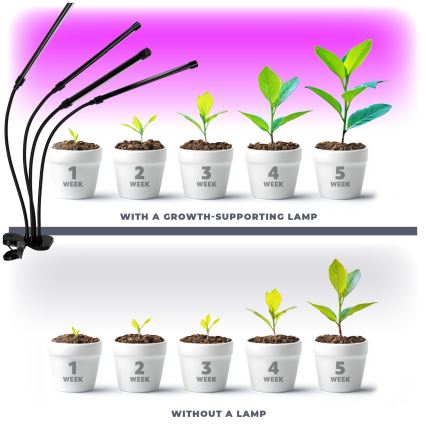 LED dimmbare flexible Tischlampe mit Clip zur Pflanzenzucht VITARO 4xLED/10W/230V schwarz