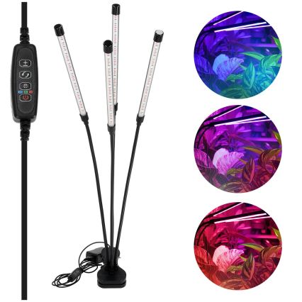 LED dimmbare flexible Tischlampe mit Clip zur Pflanzenzucht VITARO 4xLED/10W/230V schwarz