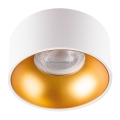 LED Einbaulampe MINI RITI 1xGU10/25W/230V weiß/gold