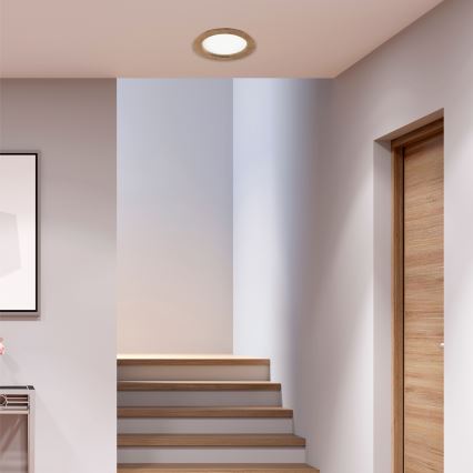 LED Einbauleuchte WOODY SPOT LED/16,5W/230V 4000K Nussbaum Ø 18,5 cm