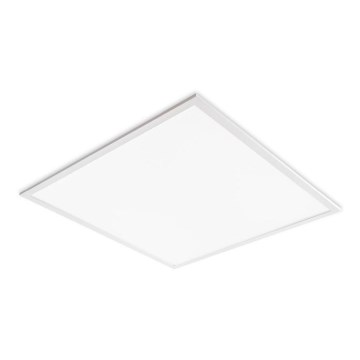 LED-Einlegepanel DAVRO LED/40W/230V 4000K 59,5x59,5 cm weiß