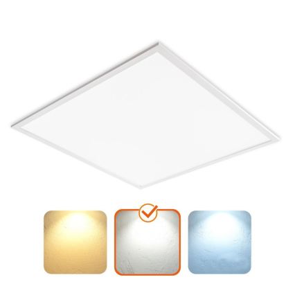 LED-Einlegepanel DAVRO LED/40W/230V 4000K 59,5x59,5 cm weiß