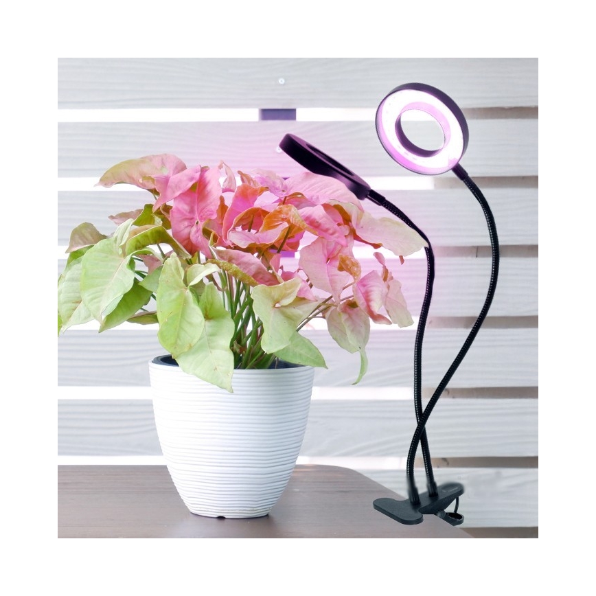 LED dimmbare flexible Tischlampe mit Clip zur Pflanzenzucht VITARO 2xLED/4W/230V schwarz