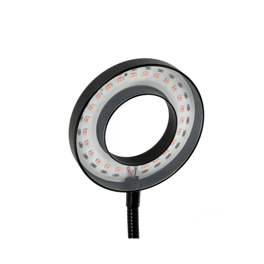 LED dimmbare flexible Tischlampe mit Clip zur Pflanzenzucht VITARO 2xLED/4W/230V schwarz