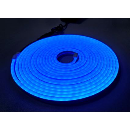 LED Flexibler Streifen NEON LED/10W/230V 5 m IP65 blau