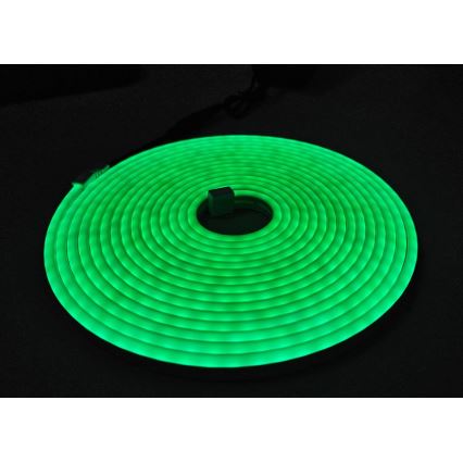 LED Flexibler Streifen NEON LED/10W/230V 5 m IP65 grün