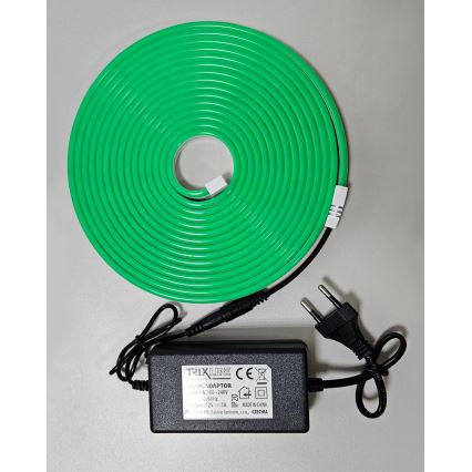 LED Flexibler Streifen NEON LED/10W/230V 5 m IP65 grün