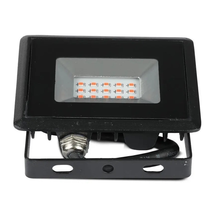 LED-Flutlicht LED/10W/230V IP65 Rotlicht