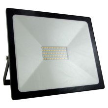 LED-Flutlicht LED/50W/230V IP65