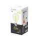 LED-Glühbirne A60 E27/6W/230V 2700-6500K Wi-Fi - Aigostar