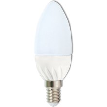 LED-Glühbirne C37 E14/5W/230V 4100K