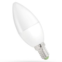 LED-Glühbirne E14/6W/230V 6000K