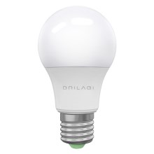 LED Glühbirne ECOLINE A60 E27/15W/230V 6500K - Brilagi