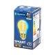 LED-Glühbirne FILAMENT G45 E27/4,5W/230V 2700-6500K - Aigostar
