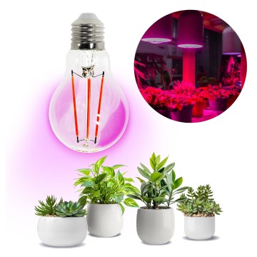 LED-Glühlampe für die Pflanzenzucht PLANTY E27/8W/230V 1200K