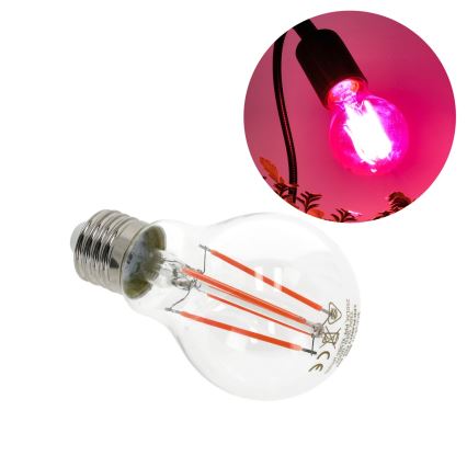 LED-Glühlampe für die Pflanzenzucht PLANTY E27/8W/230V 1200K