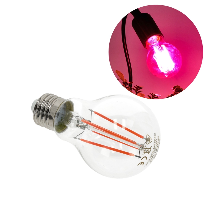 LED-Glühlampe für die Pflanzenzucht PLANTY E27/8W/230V 1200K