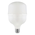 LED-Glühlampe T100 E27/30W/230V 4000K