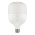 LED-Glühlampe T80 E27/20W/230V 4000K