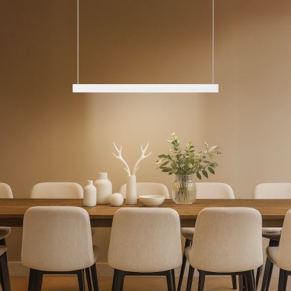 LED-Hängeleuchte an Drahtseil LINEA LED/36W/230V 3000/4000/5700K CRI 90 Weiß