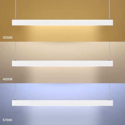 LED-Hängeleuchte an Drahtseil LINEA LED/36W/230V 3000/4000/5700K CRI 90 Weiß