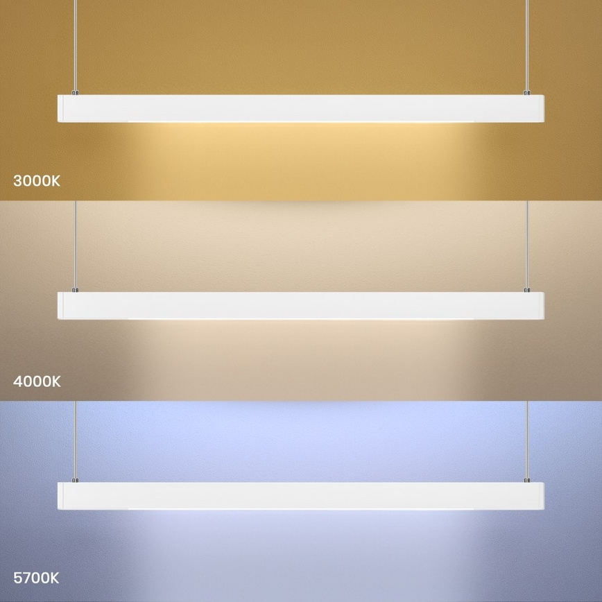 LED-Hängeleuchte an Drahtseil LINEA LED/36W/230V 3000/4000/5700K CRI 90 Weiß