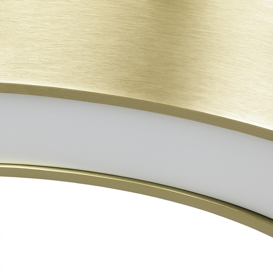 LED-Hängeleuchte an Stahlseil UNION LED/40W/230V 3000/4000/6500K Ø 40 cm goldfarben