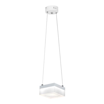 LED Hängeleuchte CUBO LED/12W/230V Quadrat