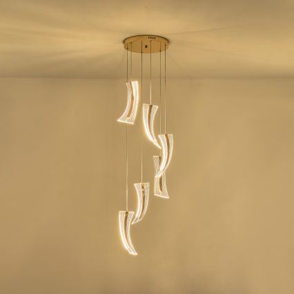 LED-Hängeleuchte FIRENZE 6xLED/10W/230V 3000K