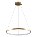 LED-Hängeleuchte LEA LED/20W/230V 4000K d 50 cm golden