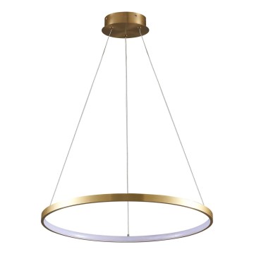 LED-Hängeleuchte LEA LED/20W/230V 4000K d 50 cm golden