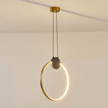 LED-Hängeleuchte LED/10W/230V 3000K