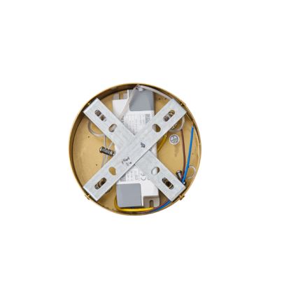 LED-Hängeleuchte LED/19W/230V 3000K