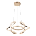 LED-Hängeleuchte LED/24W/230V 3000K 50x120 cm