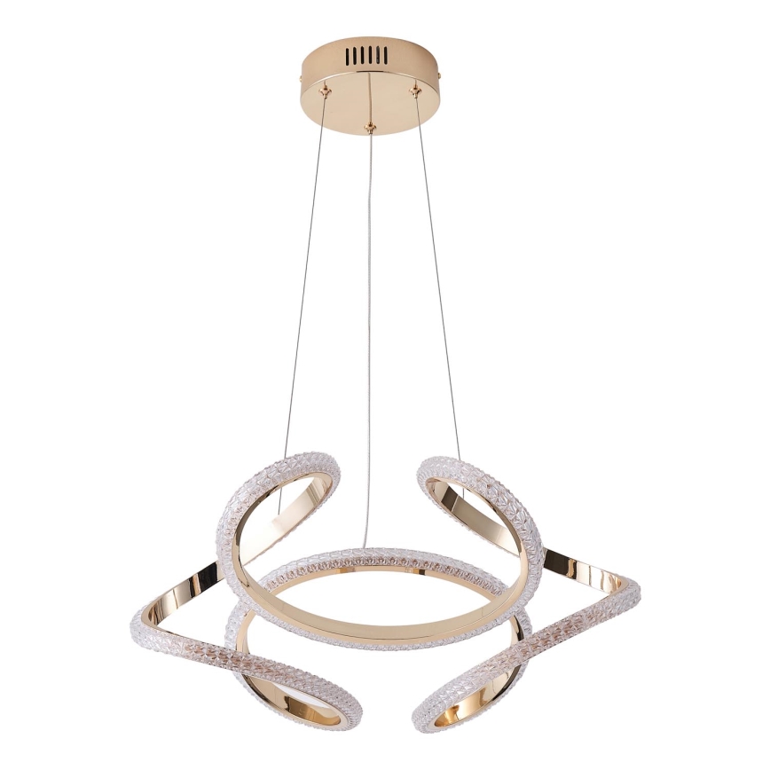 LED-Hängeleuchte LED/24W/230V 3000K 50x120 cm