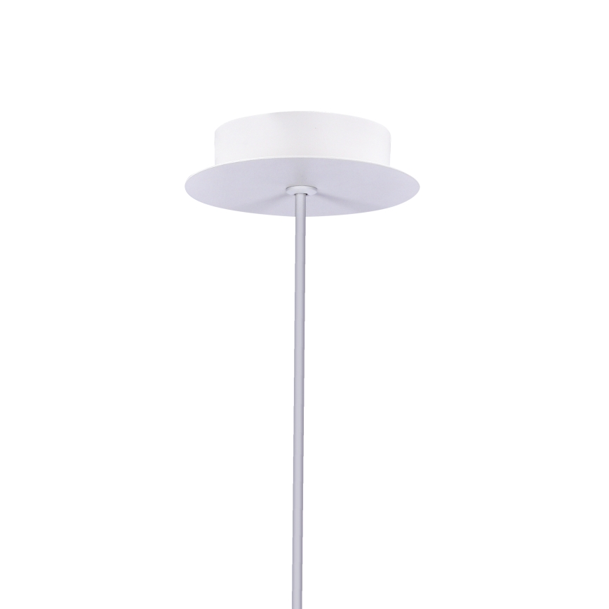 LED Hängeleuchte MODENA LED/5W/230V