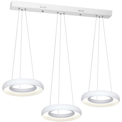 LED Hängeleuchte RONDO 3xLED/12W/230V